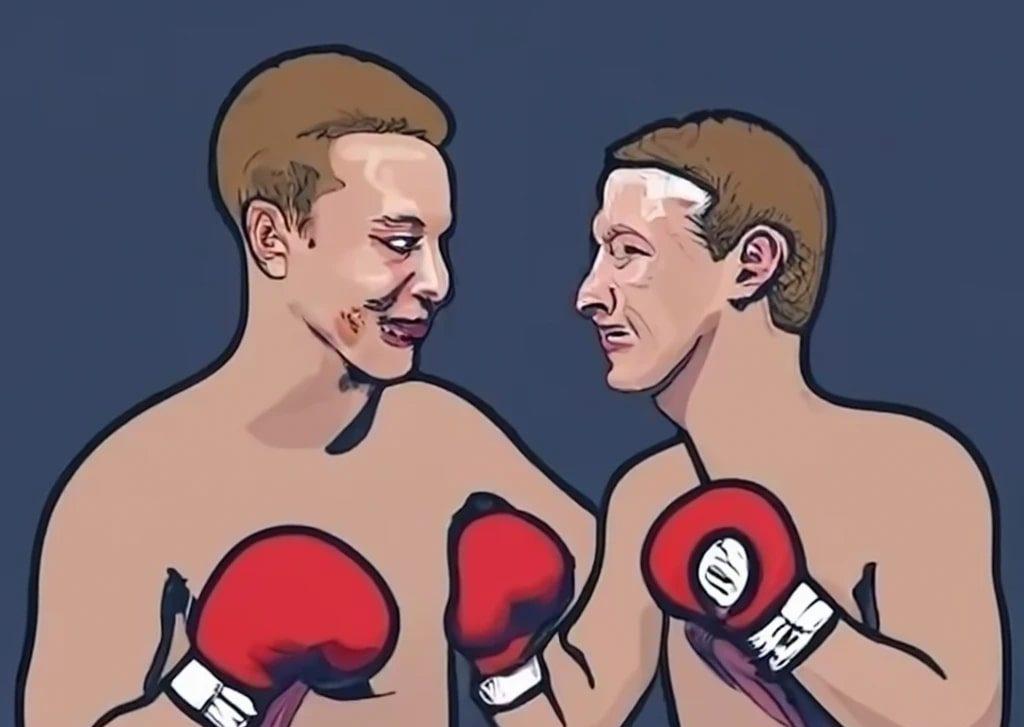 Elon Musk vs Mark Zuckerberg boxing